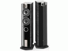 816V Ebony�@��1�{�@ �y����������萔�������I�z