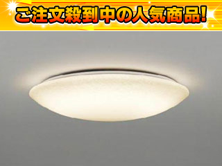 �y�[������I�z�y�啝�l�������I�zFVH95406RPEL �V�[�����O���C�g �X����NEXT�y6�`8���p�z�y���œ����z