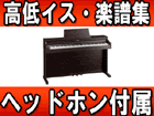 �f�W�^���s�A�m HP302-RWS ���[�Y�E�b�h���d�グ�y�������������͂��͌��֐�܂Łz