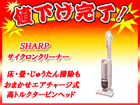 ��4�ʂ́A�r�g�`�q�o ECST7 P  �ł��B