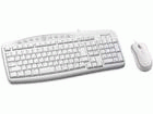 ZG7-00021�@���C���[�h �f�X�N�g�b�v 500�i���j