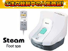 ��1�ʂ́APanasonic/�p�i�\�j�b�N EH2862 W  �ł��B