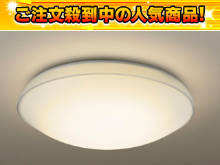 HHJZ1211 �X�p�C�����p���b�N�V�[�����O���C�g�y���������z