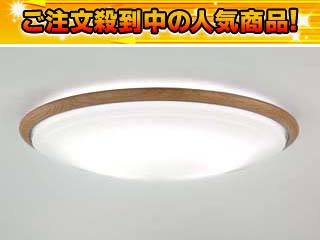 【クリックで詳細表示】NEC 【衝撃の66％OFF！】【最安値に挑戦中！】9LKZ647SG(リモコン付)【送料無料】【NEC特価】【セール6】