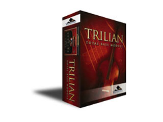Tri��ian�y����������萔�������̈��S���i�z