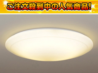 HHFZ4261(�����R���t) �y����������萔�������̈��S���i�z