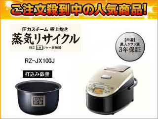 ���̓X�`�[���ɏ㐆�� ���C���T�C�N�� RZ-JX100J