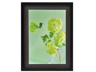 【クリックで詳細表示】HAKUBA/ハクバ FWLG-BKA4(ブラック) 木製額縁 リエージュ A4