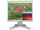 S1721-XSHGY FlexScan �Z���[���O���C