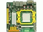 NC81-LF