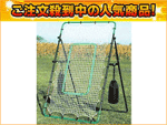 �y�s�b�`���O�E�t���C�E�S���E�o���g�������K�ɍœK�I�z���p��PN-7�@�s�b�`�g���[�i�[�E�l�b�g