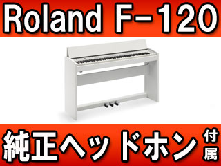 �f�W�^���s�A�m F-120-WH�@�z���C�g(F120WH) �y�����w�b�h�z���t���z