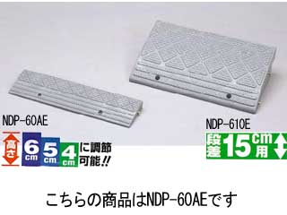 �y�݌ɏ��������I�z�y�i���v���[�g �zNDP-60AE/�O���[