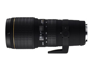 APO 100-300mm F4 EX DG HSM (シグマ AF)