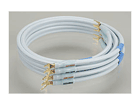 SUPRA SWORD-Y/Y-1.5m (�y�A�j