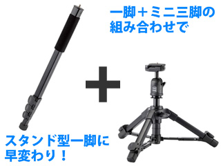 Pole Pod EX BALL HEAD 【ポールポッドEX ボールヘッド】