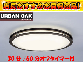【クリックで詳細表示】NEC 【衝撃の74％OFF！】【最安値に挑戦中！】9LKZ798LSG(電球色)(リモコン付)【セール7】【UBtokka】