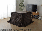 1ʂ́AIKEHIKO CPqR 1380000002614   łB