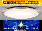 �y�ň��l�ɒ��풆�I�zDRC10763LK �V�[�����O���C�g�i�y�A���~�b�N�����L�F�j�y���������i�z