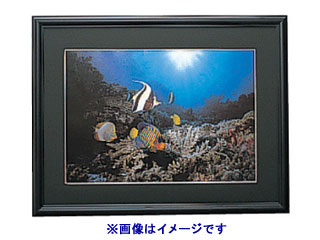 【クリックで詳細表示】ETSUMI/エツミ E-8005 アルミ写真額 W六切 (ブラック)