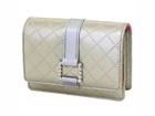 �f�W�^���J�����P�[�X �V�����p���S�[���h DCC-045GL