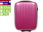 61417 TSA�W�b�p�[ 43cm (���Y�x���[�s���N)
