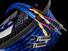 6NSP-6600S Meister�@�ؔ���i1.0���j���؂蔄��ׁ̈A�L�����Z���s���摜�̓C���[�W�ł��B