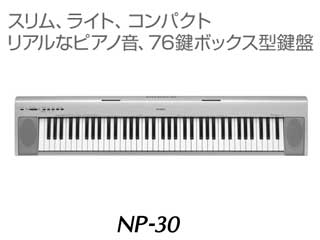 NP-30S�i�J���[/�V���o�[�j �����ʌ�������I�y����������萔�������̈��S���i�z