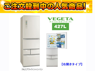 【クリックで詳細表示】TOSHIBA/東芝 【標準配送設置費無料商品】GR-E43G(NU) (ブライトシャンパン)〔右開き〕【427L】