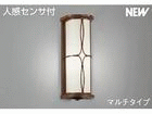 AUE546121�y�l���Z���T�[�t�z�y�}���`�^�C�v�z�yE�^�z