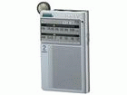 ICF-R45