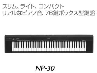 �y���ʌ���I�ň��l�ɒ��풆�I�z NP-30�i�J���[/�u���b�N�j �y����������萔�������̈��S���i�z
