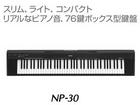 �y���ʌ���I�ň��l�ɒ��풆�I�z NP-30�i�J���[/�u���b�N�j �y����������萔�������̈��S���i�z