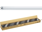 FLR40S�EEX-D/M-X�E36/10K���r�b�h�X�^�[�g�` �p���b�Nday�F