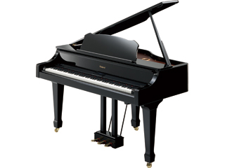 �f�W�^���s�A�m RG-3F-PES