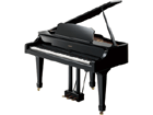 �f�W�^���s�A�m RG-3F-PES