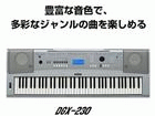 �y�|�[�^�u���O�����h�z DGX-230 �y����������萔�������z