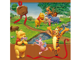 【クリックで詳細表示】FUJICOLOR/フジカラー NFW-10L プーさんとお花