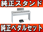 FP-7F-WH(�z���C�g) + ��p�X�^���h��3�{�y�_���̃Z�b�g�y���������z