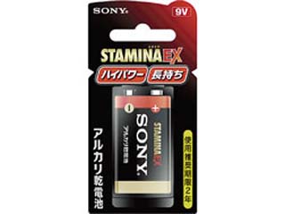 6LR61SG-BHC�@9V�`�A���J�����d�r�uSTAMINA EX�v