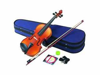 V-14 �i�o�C�I���� 4/4�T�C�Y�j �����[�J�[���i���̈ה[���ɂ����Ԃ�������܂�