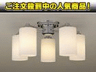 HH6005�y����������萔�������z