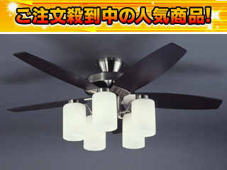 �y����������萔�������̈��S���i�z LFARE-16018�y�ۑP�d�@�����z