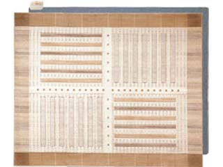 HC-30PWC-C �z�b�g�J�[�y�b�g�i�d�C�J�[�y�b�g�j�y����������萔�������̈��S���i�z