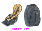 KT PL-BG-205�@�o�b�N�p�b�N�@�o�O�@Bug-205 PL�@�y����������萔�������I�z