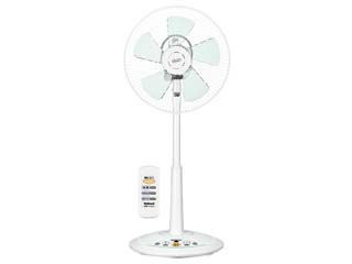 �y10�����I�zF-CB324-WG �z���C�g�O���[��