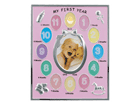 MB21-130-PK�i�s���N�j�@12�����x�r�[�t���[��