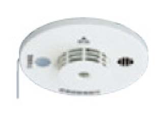 SH18227�@�˂��ԁ@�M�i�艷���j