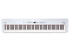 FP-4F-WH �f�W�^���s�A�m�iFP4FWH�j