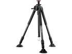 Auctus Plus 283CT�@�y����������萔�������I�z�y�A�N�^�X�v���X�z